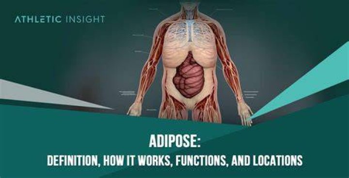 What does the medical term adenalgia mean?