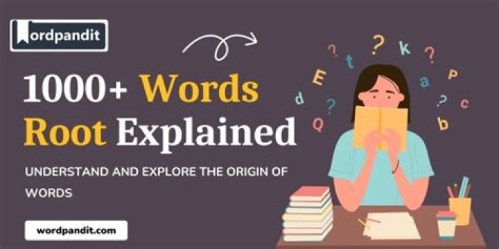 What does the root calli mean?