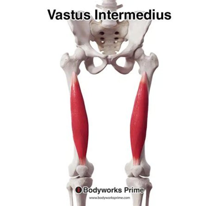 What does the word vatus?