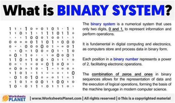 What is a binaries?