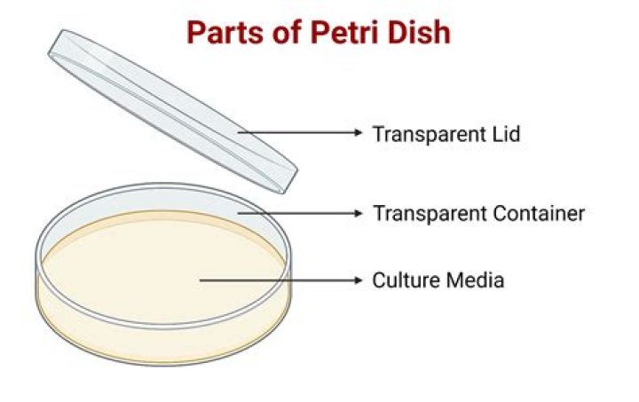 What is a dish rag used for?
