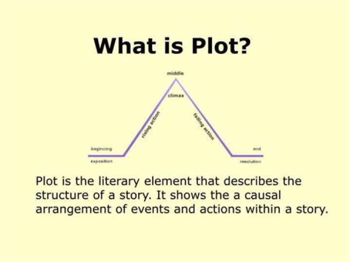 What is a plot?