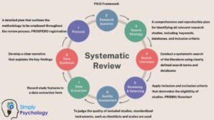 What is a systematised review?