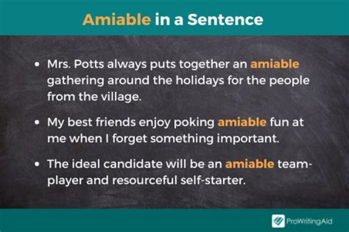 What is amiability definition?