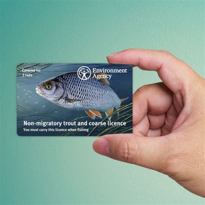 What is an angling license?