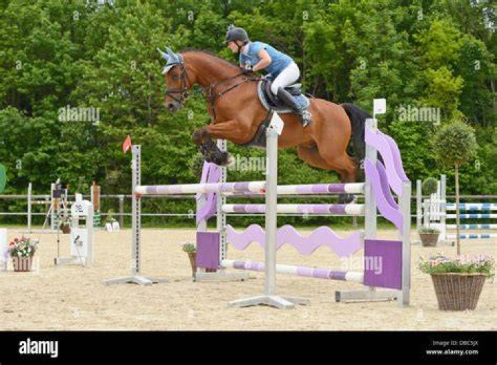What is an oxer jump?