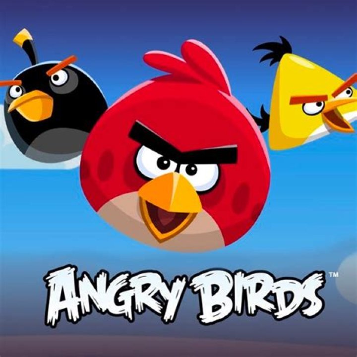 What is angry birds?