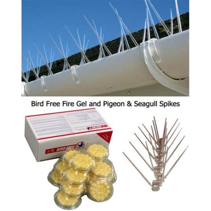 What is bird free fire gel?