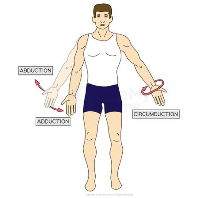 What is circumduction in physical education?