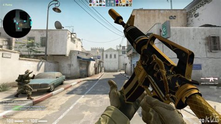 What is counter strike?