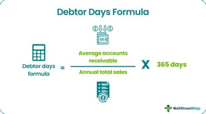 What is debtor days?