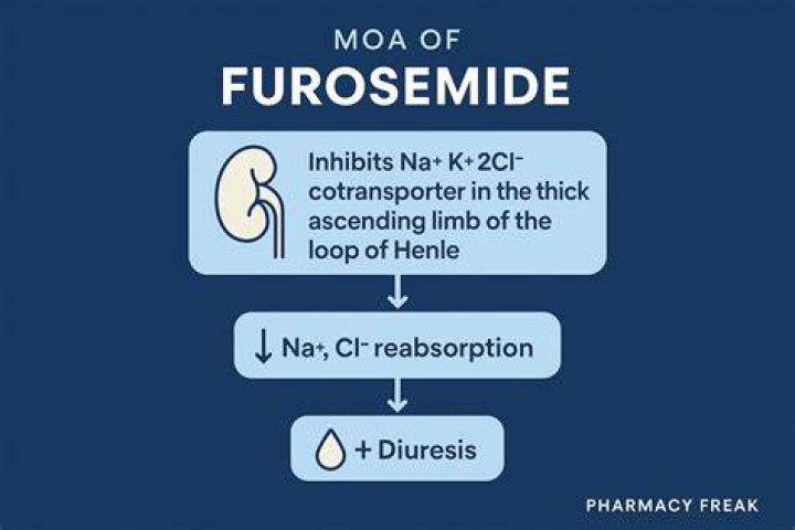 What is furosemide used for and its side effects?