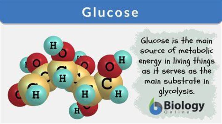 What is glucose used for?