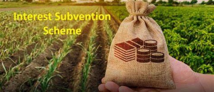 What is interest subvention scheme?