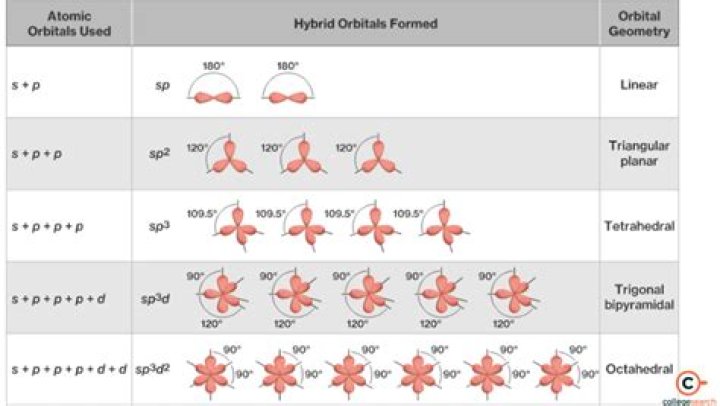What is introgressive hybridization?