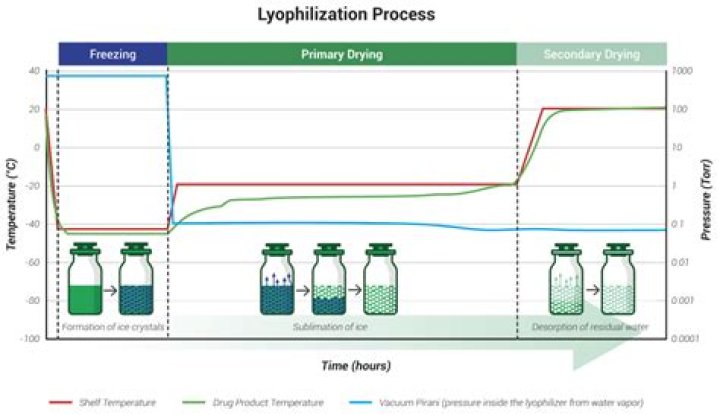 What is lyophilized product?