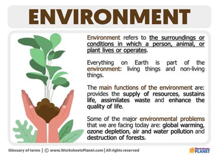 What is meant by enfeoffment?