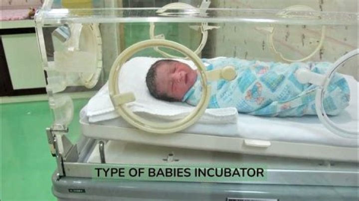 What is meant by incubatory carrier?