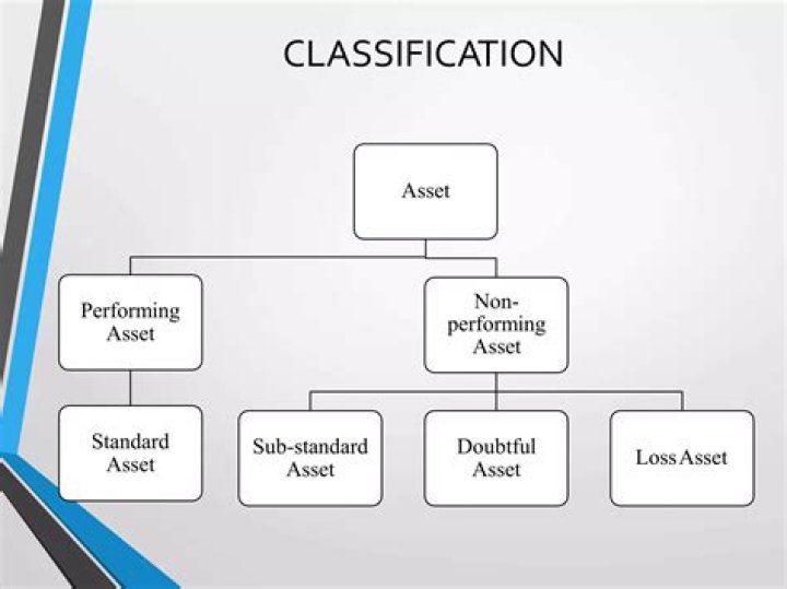 What is meant by non performing assets?