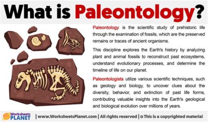 What is palaeontology in biology?