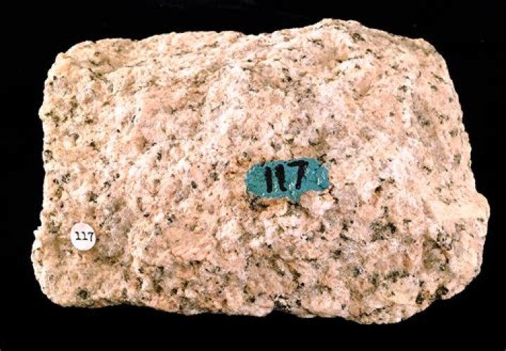 What is quartz monzodiorite?