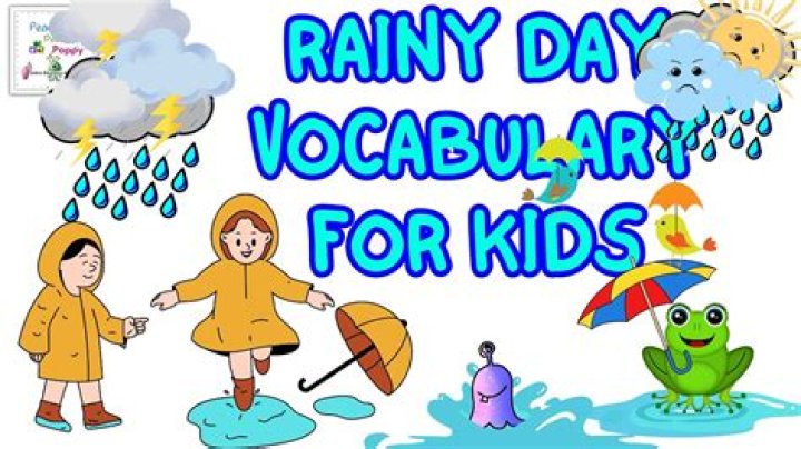 What is rainy day?