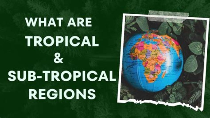 What is subtropical mean?