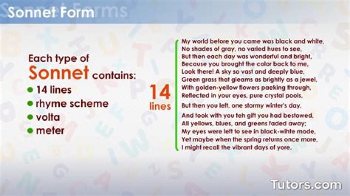 What is the definition of a sonnet?
