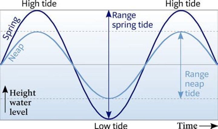 What is the definition of tides?