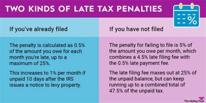What is the interest on taxes owed?