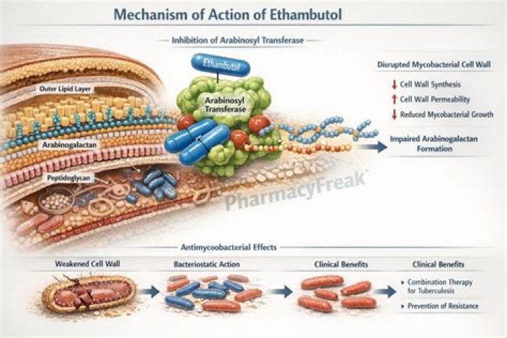 What is the mechanism of action of ethambutol?
