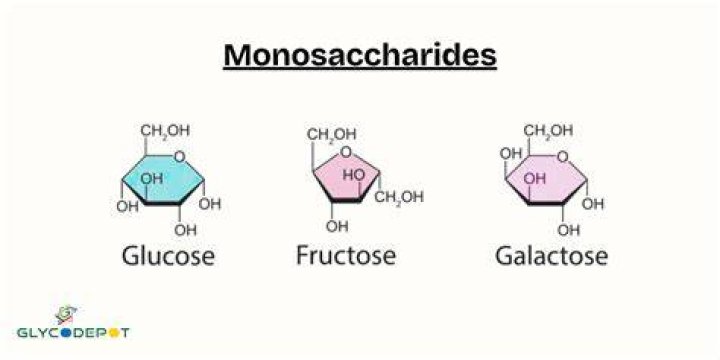 What is the simplest monosaccharide?