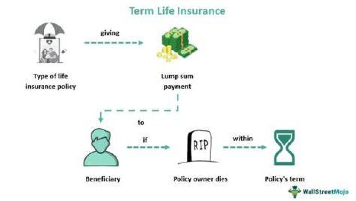 What of term life insurance?