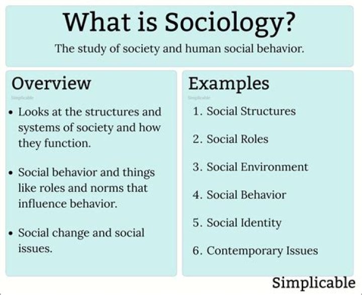 What sociology is all about?