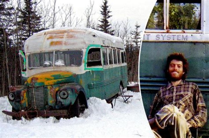 What was mccandless seeking in the wilderness?