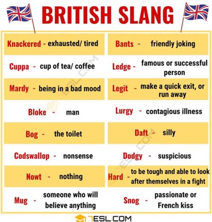 Whats a catty slang?