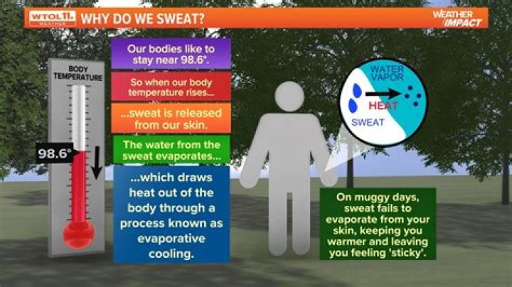 Whats a cold sweat mean?