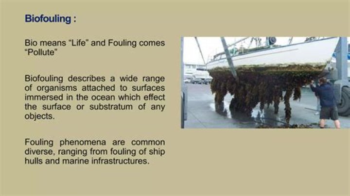 Whats a fouling organism?