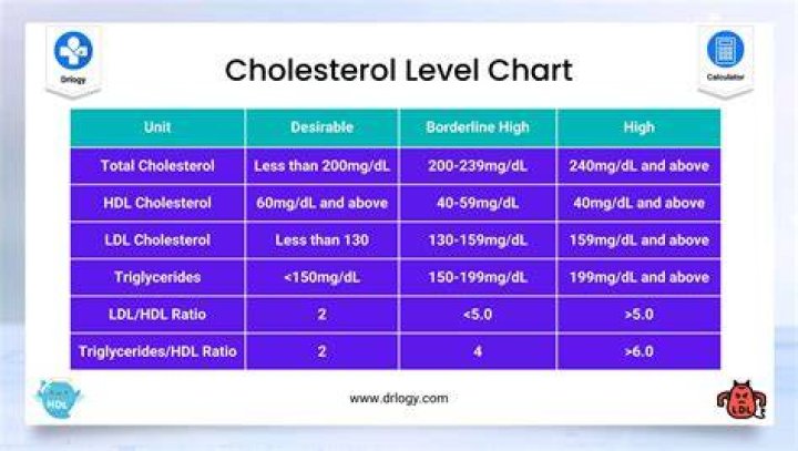 Whats a high hdl level?