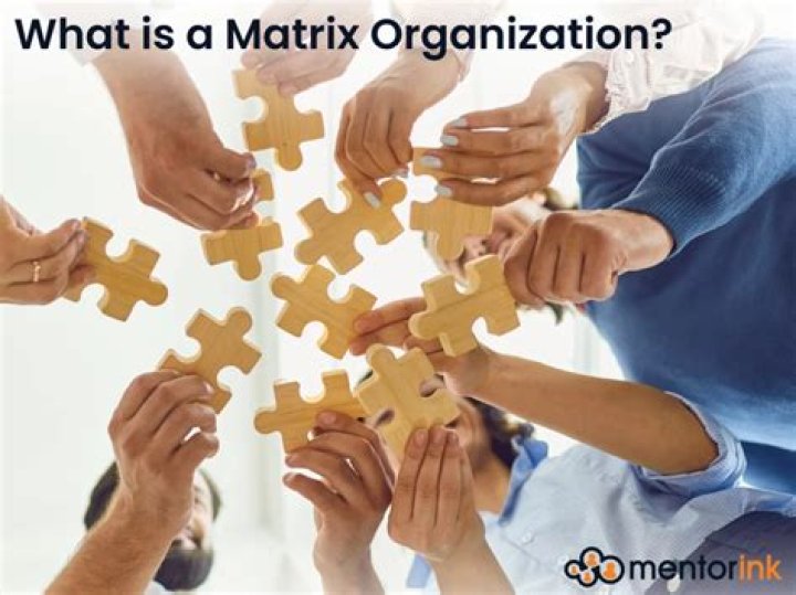 Whats a matrix organization?
