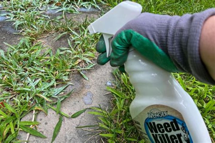 Whats a natural weed killer?