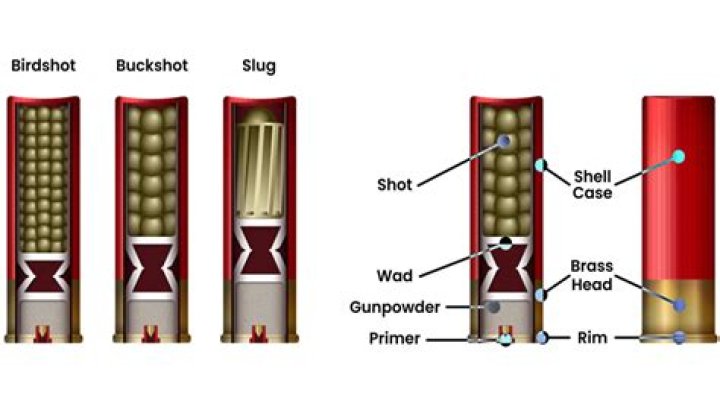 Whats birdshot made of?