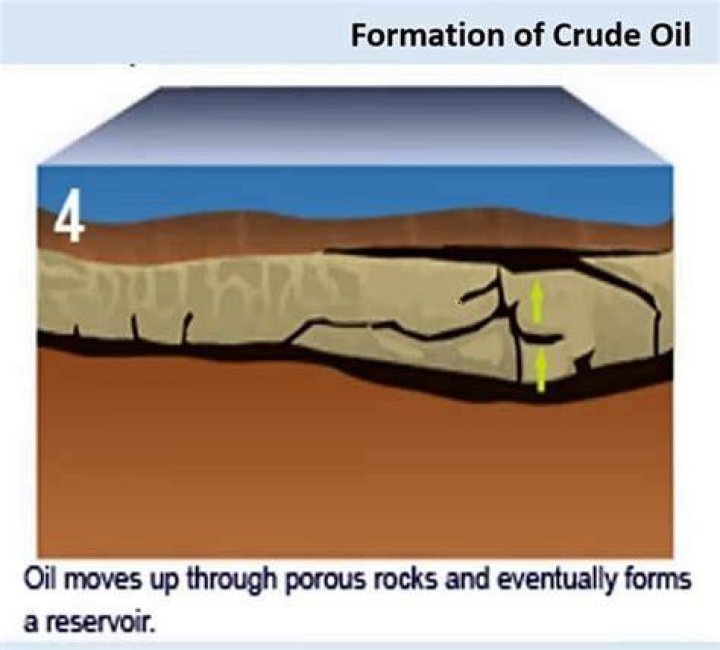 Whats crude oil formed from?