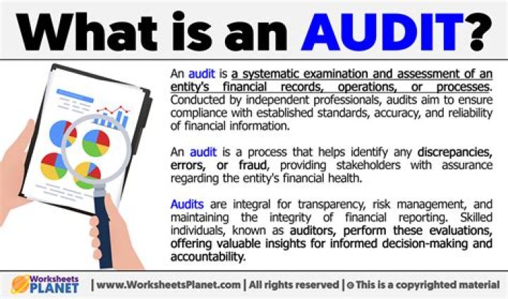 Whats it mean to get audited?
