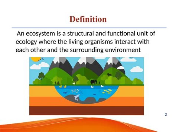 Whats the definition of ecosystem?