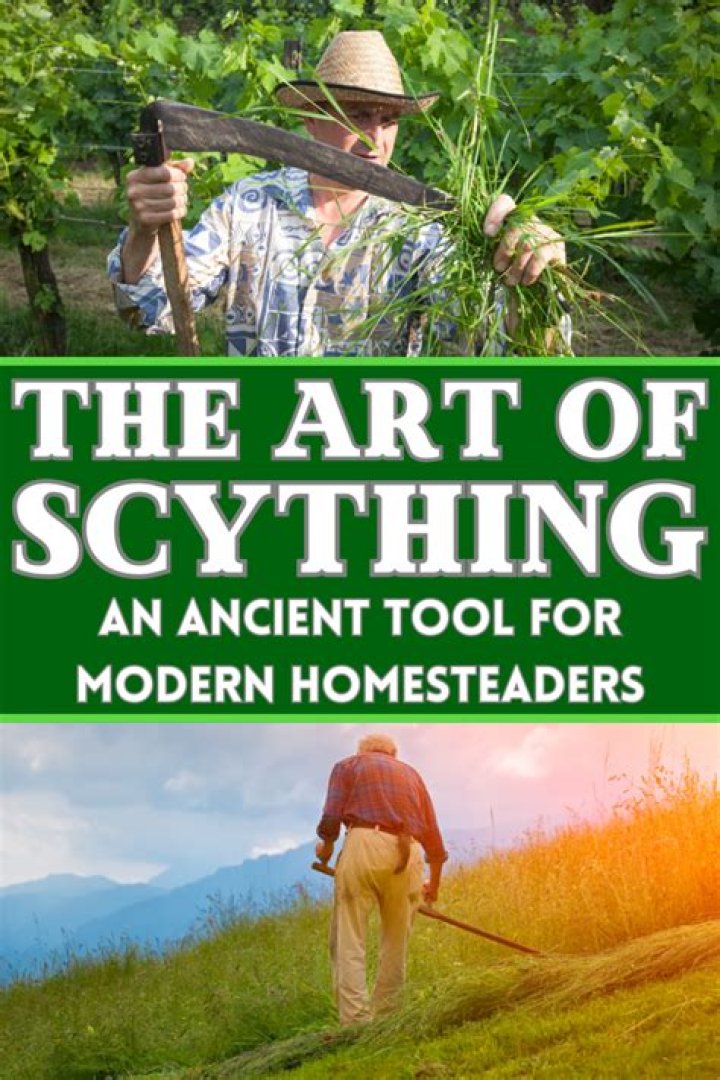 Whats the definition of scything?