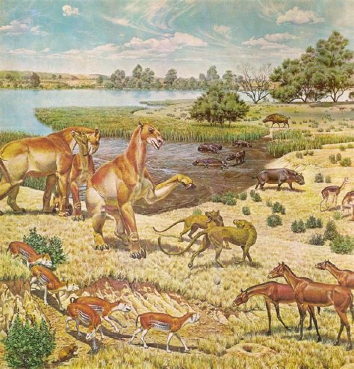 Whats the meaning of miocene?