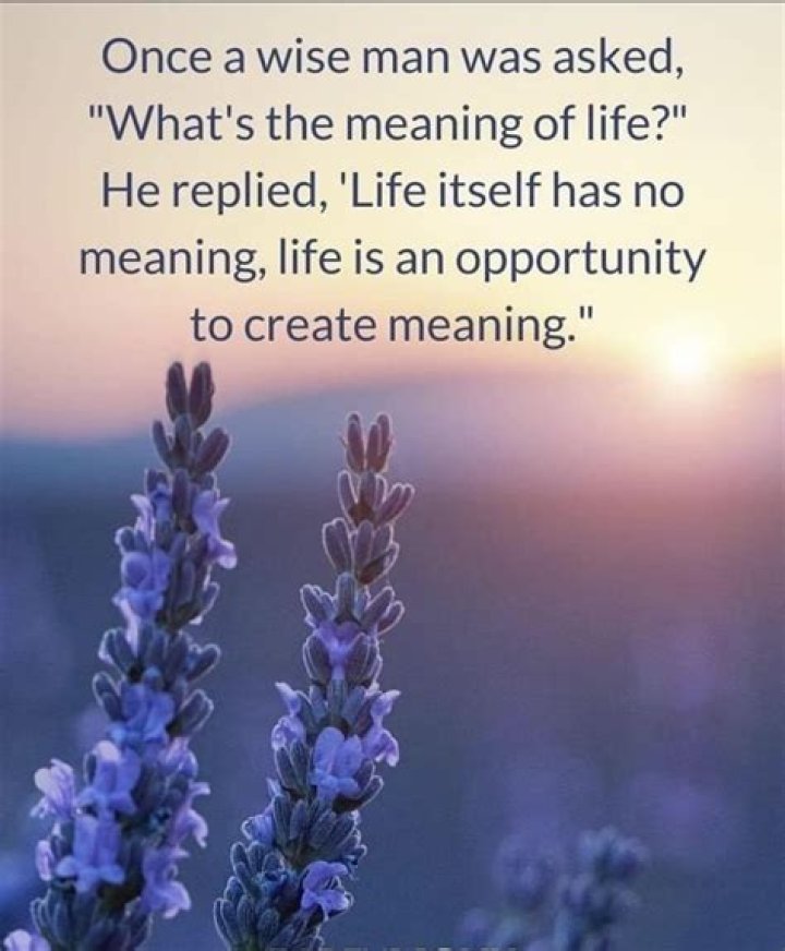 Whats the meaning of susanne?