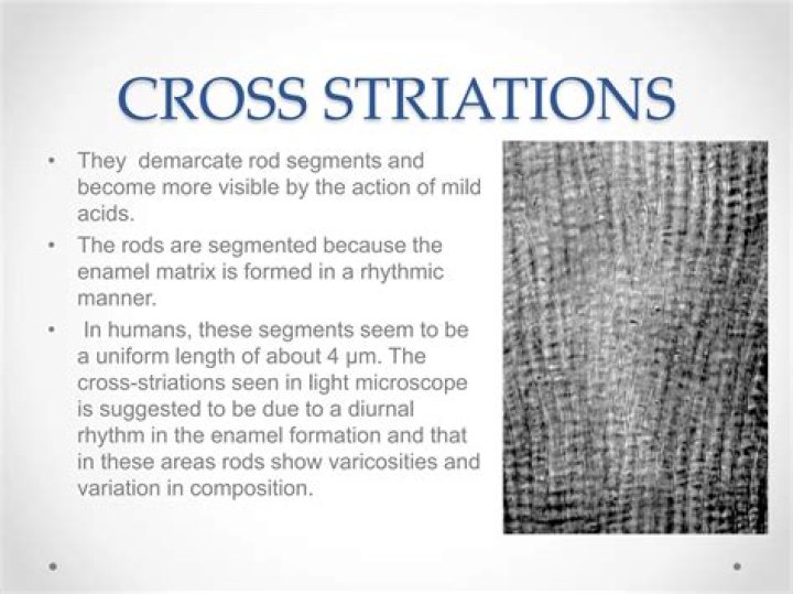 When are striations formed?