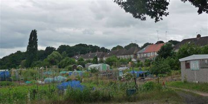 When did allotments start in the uk?
